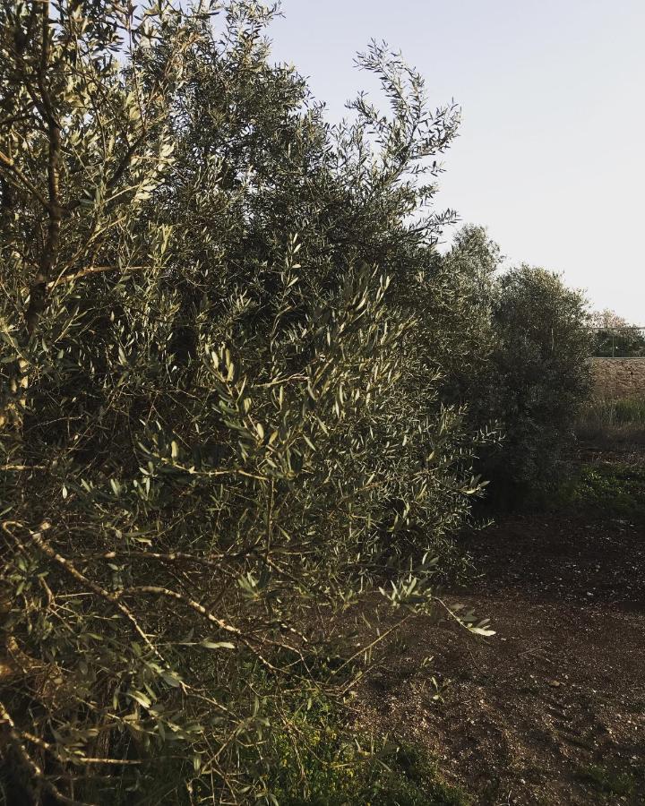 Villa Sabag At Metulla Metula Εξωτερικό φωτογραφία